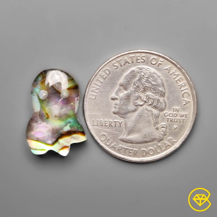 Abalone Shell,Quartz