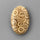 Coral|Fossil Coral