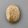 Coral|Fossil Coral