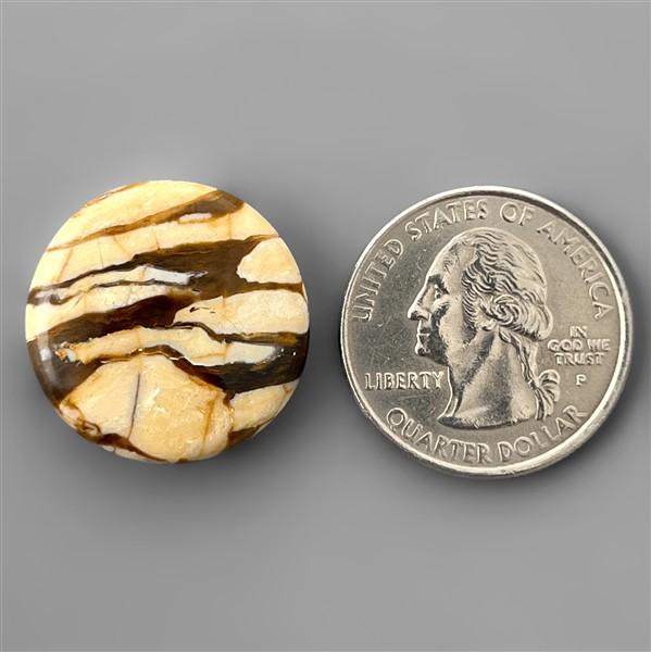 Peanut Wood Jasper|Wood