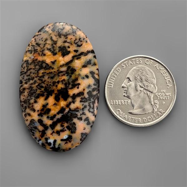 Agate|Dendritic Agate
