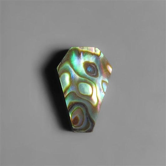 Abalone Shell|Shell