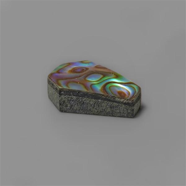 Abalone Shell|Shell