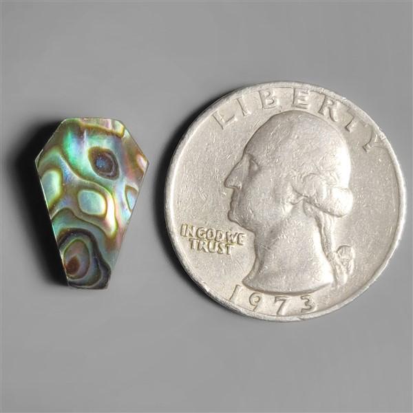 Abalone Shell|Shell