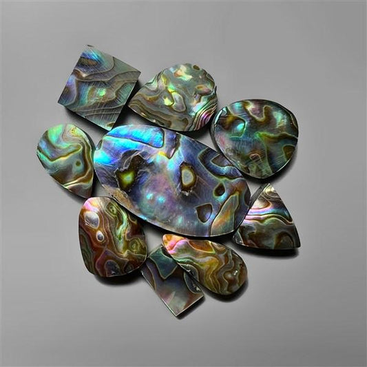 Abalone Shell|Shell