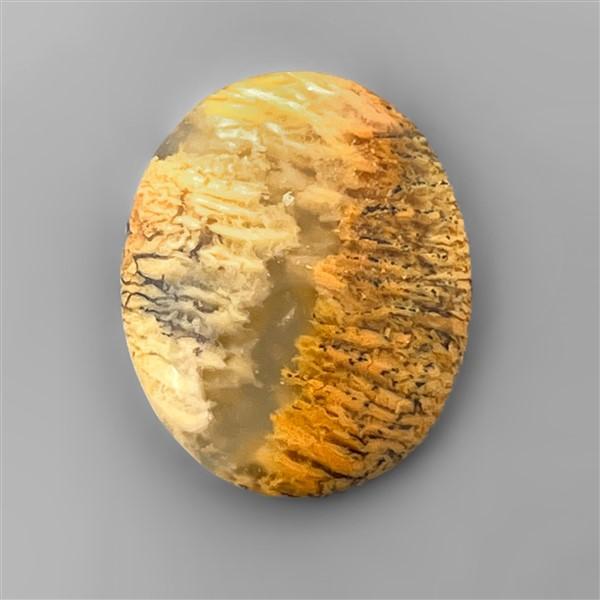 Agate|Dendritic Agate