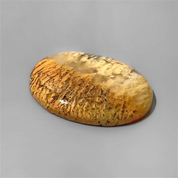 Agate|Dendritic Agate