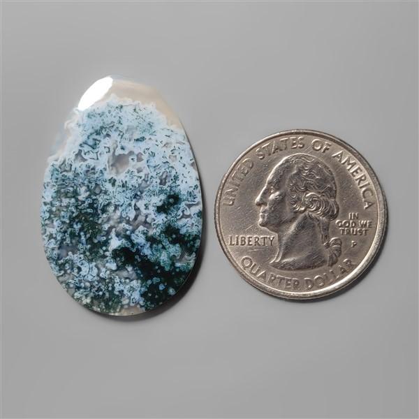 Agate|Tree Agate