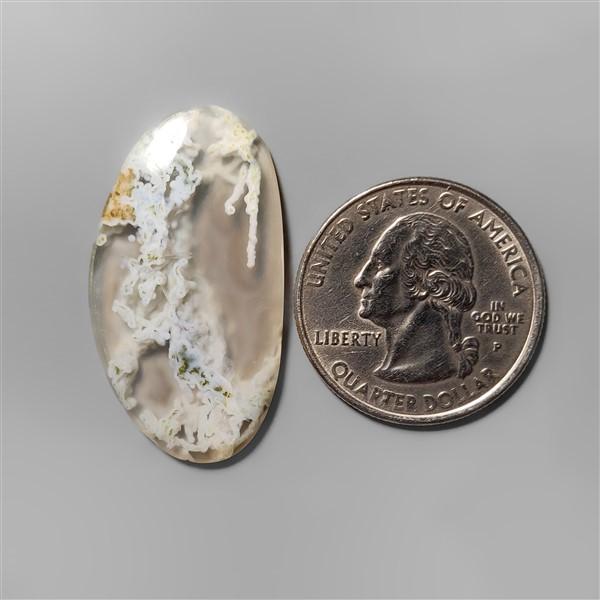 Agate|Moss Agate|White Horse Canyon