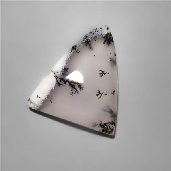 Agate|Dendritic Agate