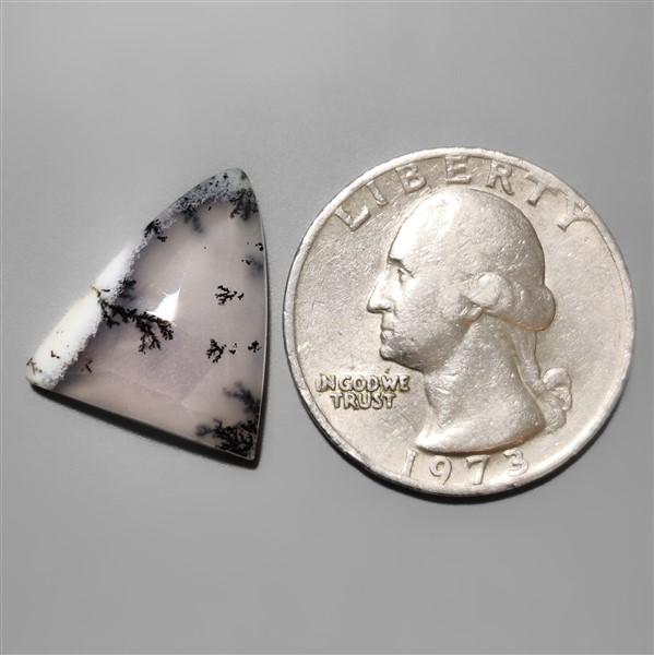 Agate|Dendritic Agate
