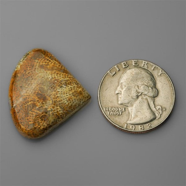Coral