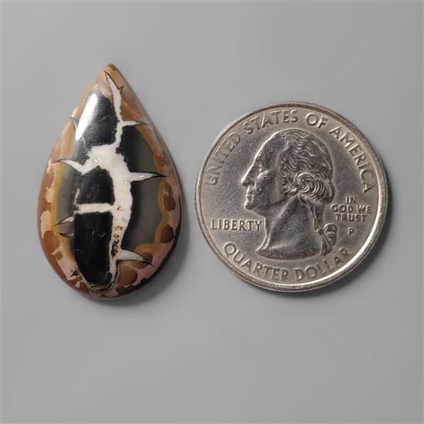 Septarian