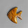 Tiger Eye