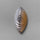 Agate|Botswana Agate