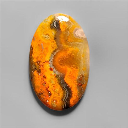Bumble Bee Jasper