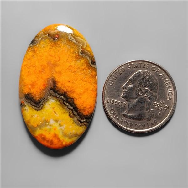 Bumble Bee Jasper