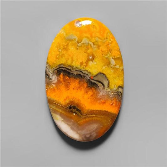 Bumble Bee Jasper