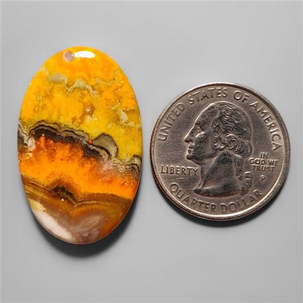 Bumble Bee Jasper