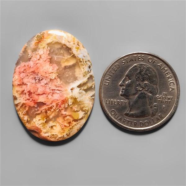 Agate|Plume Agate