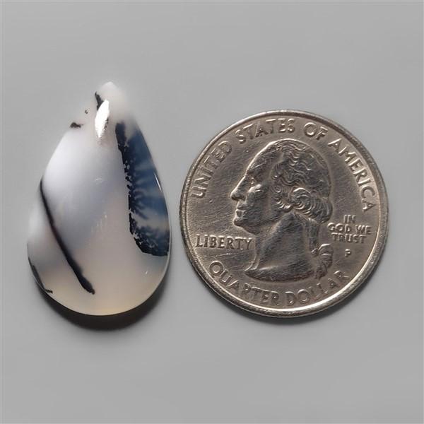 Agate|Dendritic Agate