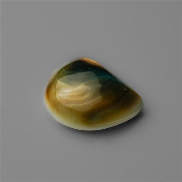 Shell|Shiva Eye Shell