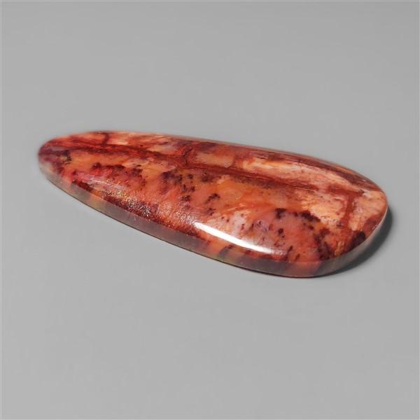 Petrified Wood|Wood