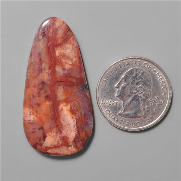 Petrified Wood|Wood