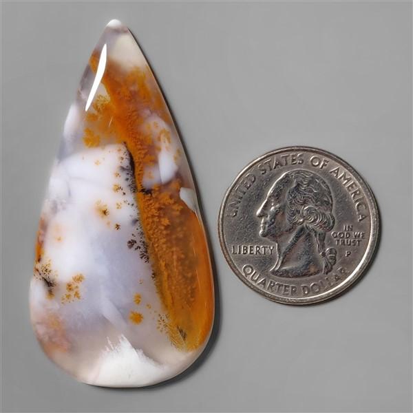 Agate|Dendritic Agate
