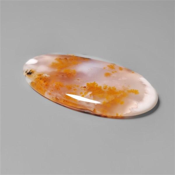 Agate|Dendritic Agate