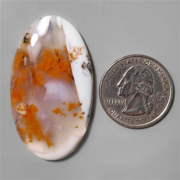 Agate|Dendritic Agate