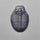 Trilobite Fossil