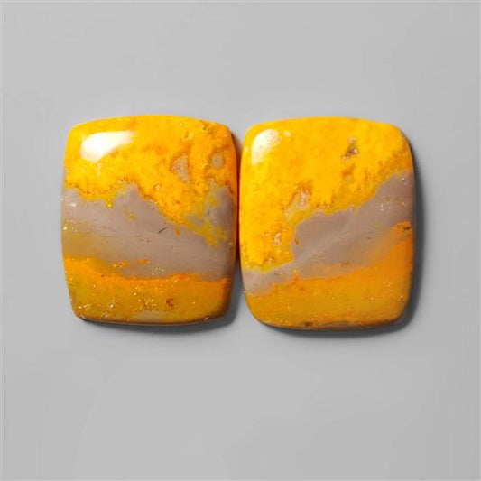 Bumble Bee Jasper