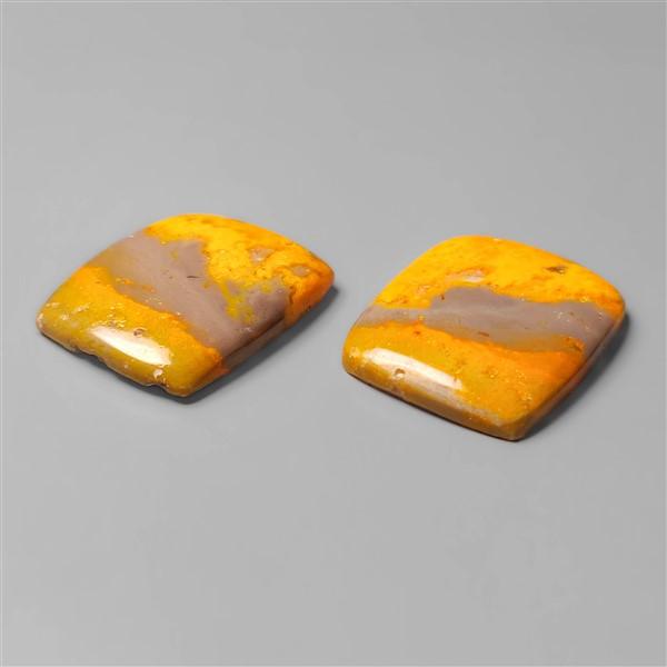 Bumble Bee Jasper