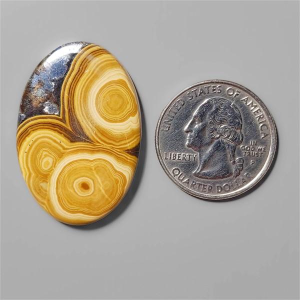 Schalenblende