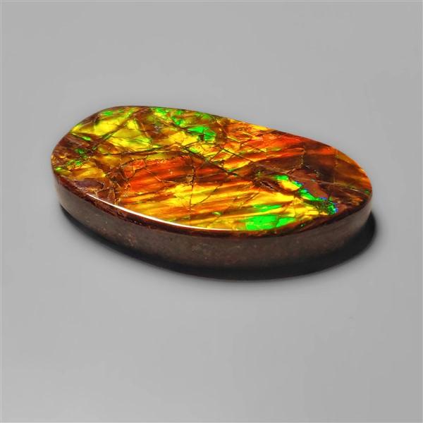 Ammolite