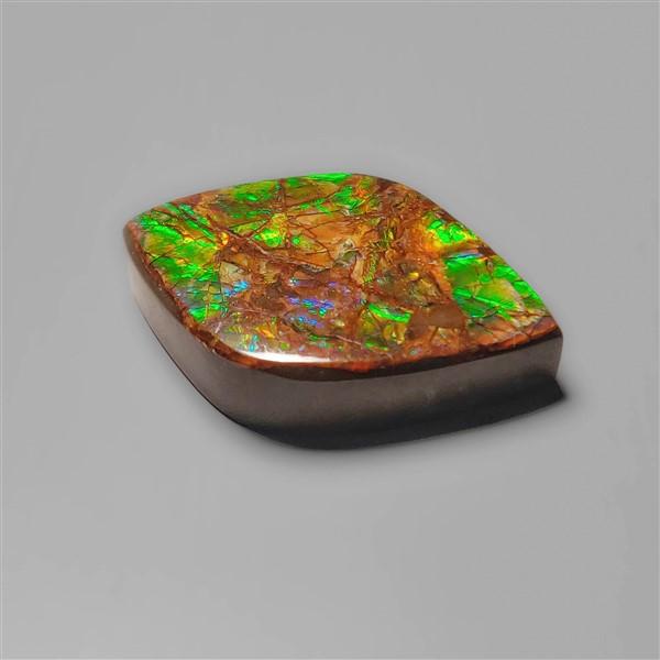 Ammolite
