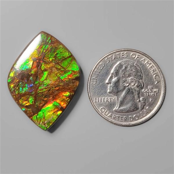 Ammolite