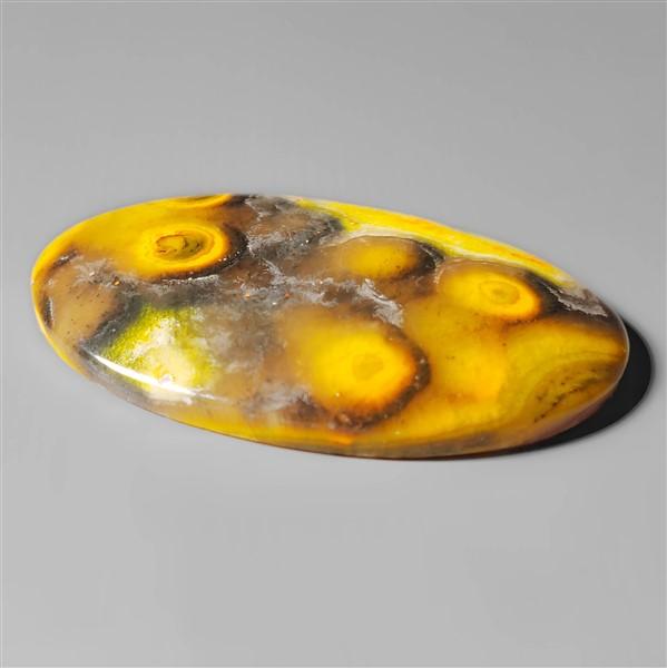 Bumble Bee Jasper