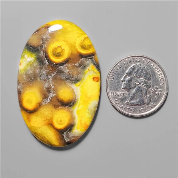Bumble Bee Jasper