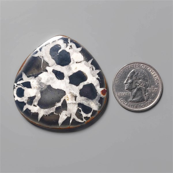 Septarian