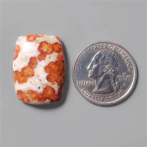 Garnet|Garnet In Limestone