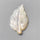 Mother Of Pearl|Pearl