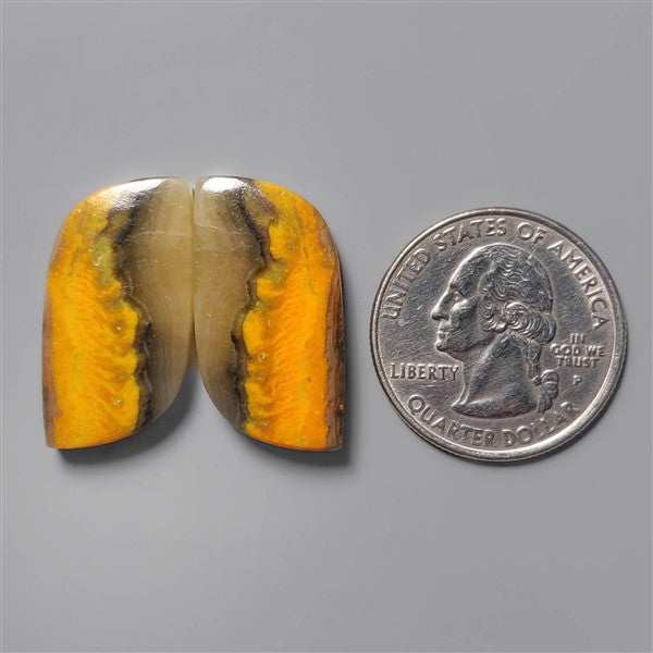 Bumble Bee Jasper