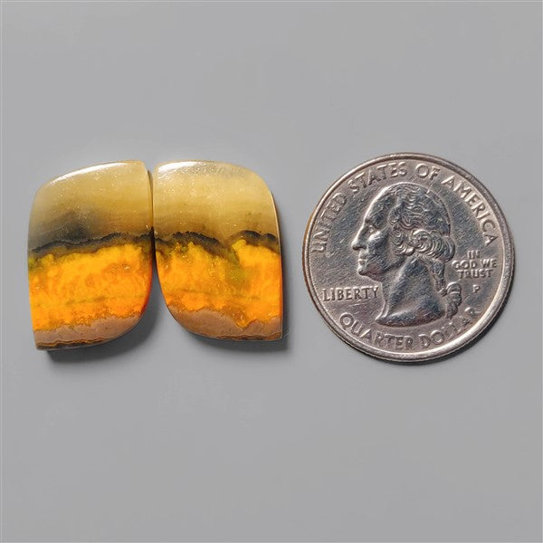 Bumble Bee Jasper