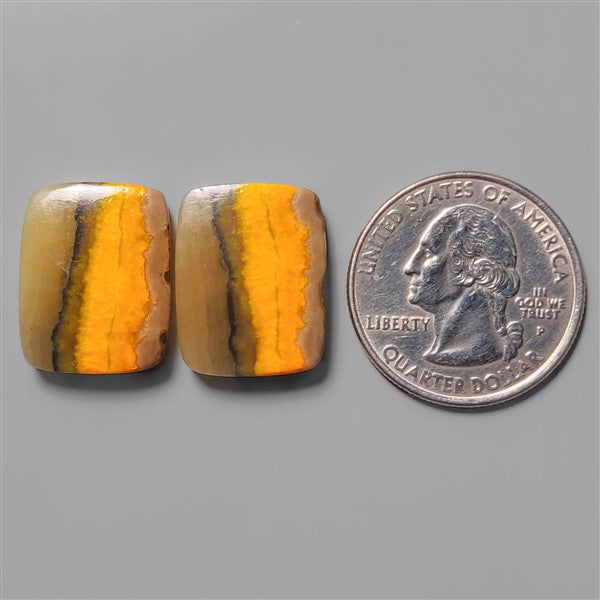 Bumble Bee Jasper