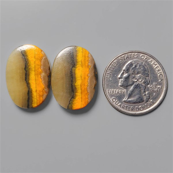 Bumble Bee Jasper