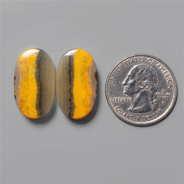 Bumble Bee Jasper
