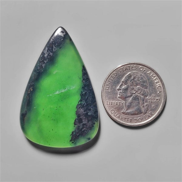 Serpentine