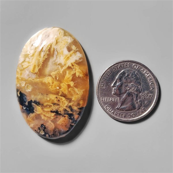 Agate|Dendritic Agate